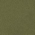 cat3-phiaba-olive