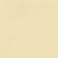cat7-linea-cream
