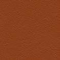 cat7-linea-sienna
