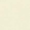 cat7-linea-white